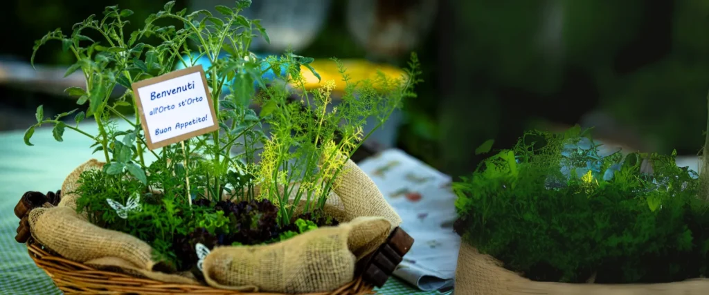 Primo piano di una piantina in vaso, con un cartellino che da il benvenuto nell'Orto st'Orto
