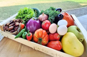 Cassetta mista di uova fresche e frutta e verdura di Orto st’Orto, azienda agricola a Maranello.